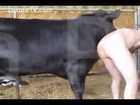 Zoophilia Porn - Zoophiliac at the farm